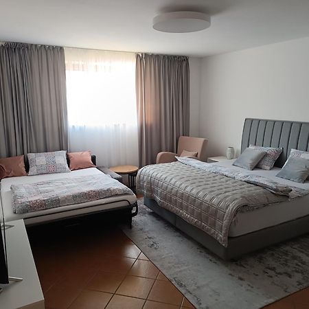 3 Bathrooms Apartman Mimi Liptovský Mikuláš 외부 사진